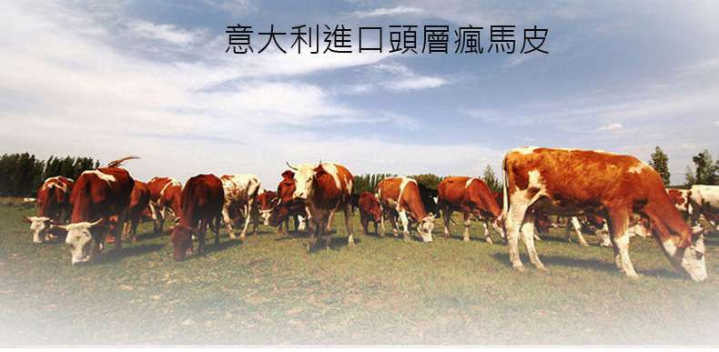 歐美復古瘋馬皮後背包 意大利進口頭層瘋牛皮 時尚真皮後背包 商務旅行背包